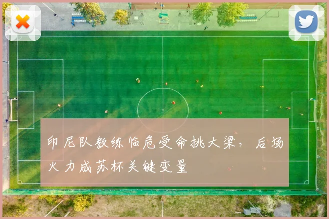 印尼队教练临危受命挑大梁，后场火力成苏杯关键变量