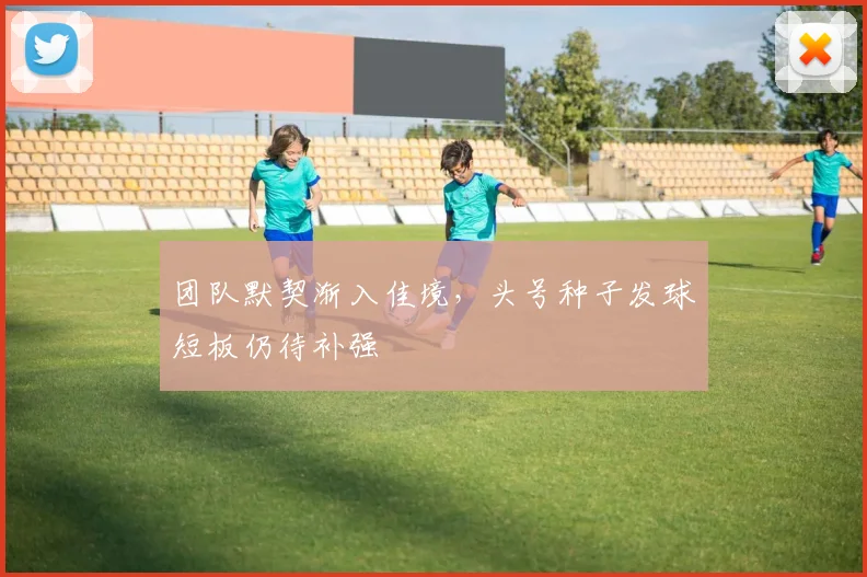 团队默契渐入佳境，头号种子发球短板仍待补强