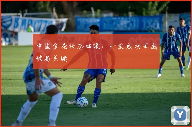 中国金花状态回暖，一发成功率成破局关键